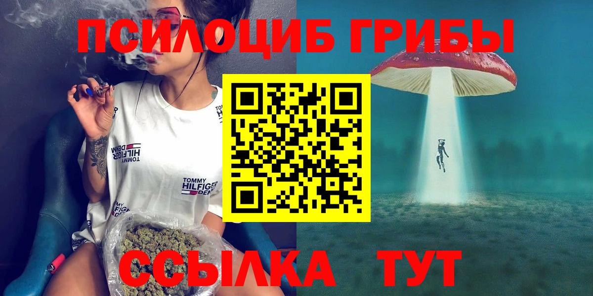 Иваново  Псилоцибиновые грибы Cubensis  купить наркотик  Вход с VPN 